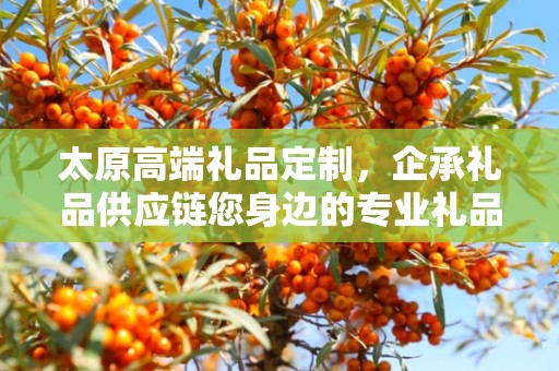 太原高端礼品定制，企承礼品供应链您身边的专业礼品定制公司