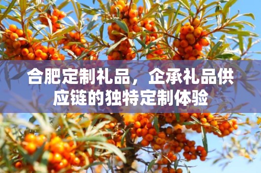 合肥定制礼品，企承礼品供应链的独特定制体验