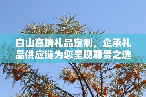 白山高端礼品定制，企承礼品供应链为您呈现尊贵之选