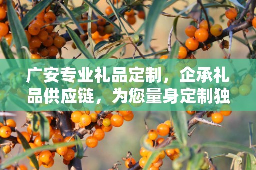 广安专业礼品定制，企承礼品供应链，为您量身定制独特礼品