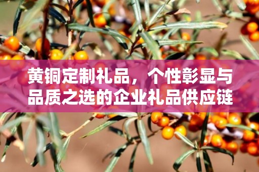 黄铜定制礼品，个性彰显与品质之选的企业礼品供应链服务
